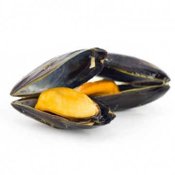 Black Mussels (Fresh)