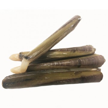 Razor Clams (Fresh)