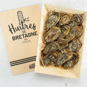 Oysters (Normandy)