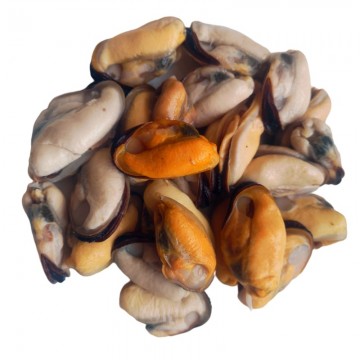 Mussels Meat (Frozen)