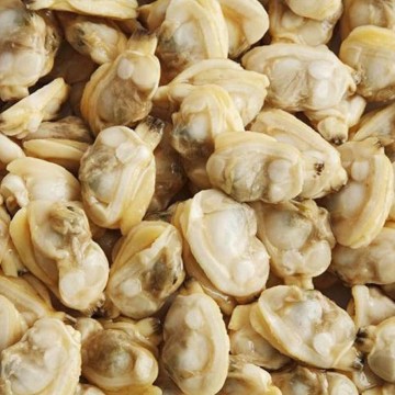 Clam Meat (Frozen)