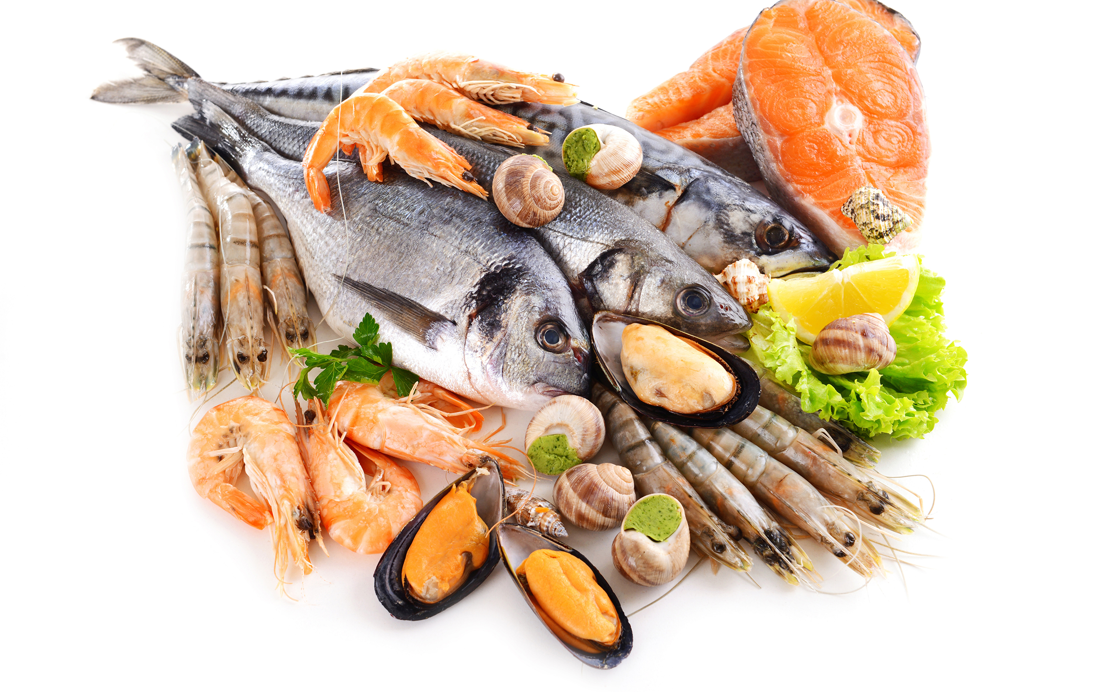 Fesh Fish